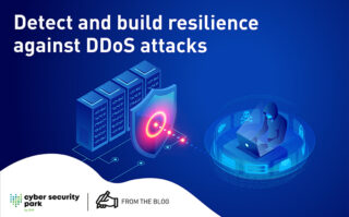 DDoS attack service