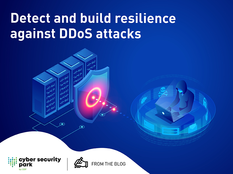 DDoS Attacks Protection